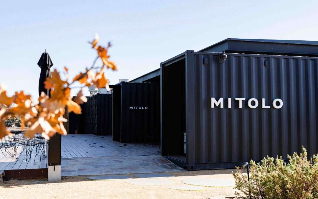 Mitolo Wines Wedding