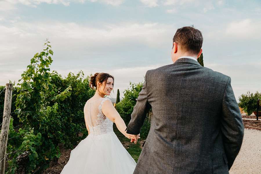 File 411 The Lane Vineyard